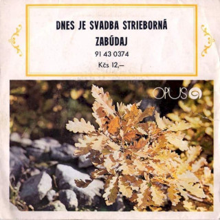 Zora Kolínska - Dnes Je Svadba Strieborná / Zabúdaj - SP / Vinyl